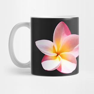 Pink Plumeria Mug